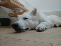 6d74e16f-f70c-476c-9a28-c18a4021ed11