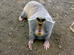 dd48c208-0f71-4db0-9776-128a65a28a71