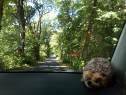 5f69368f-d0b0-4f1c-9e10-3d354785ad9a