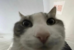 63d2a343-742e-4599-9824-ec477e732b48