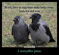 fb7b034e-c2a1-4022-8735-6075f222390f