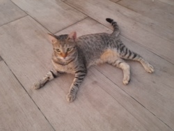 0af16423-d682-4309-b6dd-1291f3843307