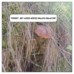 ed6d1958-c97a-46eb-a14d-0ceada0846ee