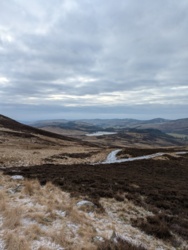 a87f0358-89d1-48d1-8d5c-918d531b369a