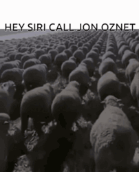 b9d75030-2714-419d-852b-be55c4d20e6f