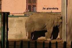 076608bc-c224-416d-974d-b1f4fbd6d6b9