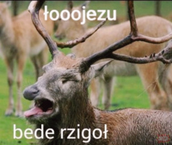 cc0dec08-6b7a-4694-a7f1-2798aabdd297