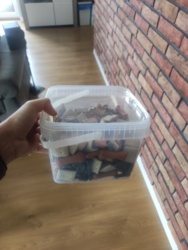 3a09809f-fff3-419b-af16-1bf6593b4458