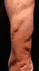 11a1ab09-b9b3-4176-a23a-6cd8938110ca