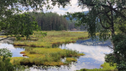 7f2d0047-1a71-4083-b780-ed25f7f45c7f