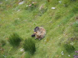 746d7856-714a-490d-ae8a-8092e3599593