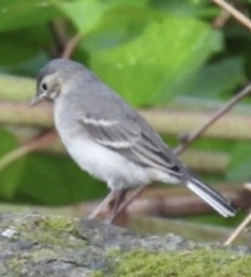 241ec56e-5a75-4295-95ef-3b24bb57fdc8