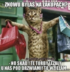 405af620-8e05-40b7-ac5d-87c2fa98e96b