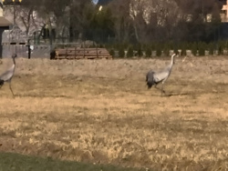 3e616b9f-f879-43d4-95da-84223dfe335d