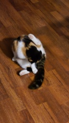 124dc31a-c3a8-4e4b-98b3-56128f327fb1