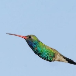 2f8b53f6-f552-4fbb-b3be-6f88f0de2dea