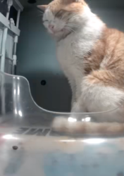 dc048380-c50b-4749-860a-32785a4c23f2