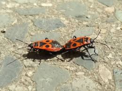 bd9d04f4-34f0-4636-b419-6ba39f95f947