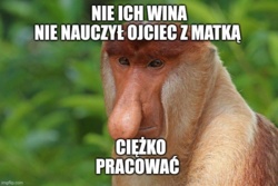 e808f174-9aee-488b-92c0-7dbc3a53ff49