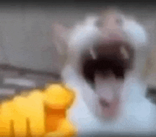 dafa0012-3abf-4e65-8a07-aa876621a4ea