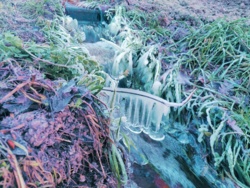 2553e38a-be38-4473-9622-2e17a830ef88