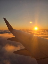 6d058746-ba16-430b-aa6d-e778b28b0529