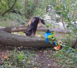 58742092-6f3f-49e4-b10f-0594b5cc37ed