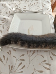 d6649535-3f51-4ef7-98cb-23cd87b5c375