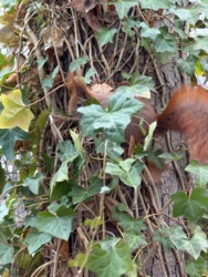 310bed4e-baa9-4d4a-8361-6a7d60aa01b4