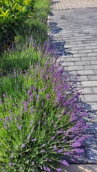 5e088843-436e-4e03-bf83-5eca8a9584fb