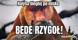 514316e5-58ec-40a2-9a6b-6aa6e3239722