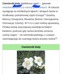 e86bc5a6-3f50-4f3b-918e-8f179bdba0ca