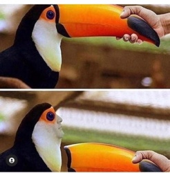 18e085d3-91f8-46a2-9e3a-9a1658120766