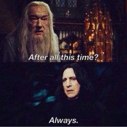 935d3c39-b662-4f74-a76b-2ca9a6e821d7