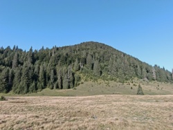 edf39ce7-c1fc-4397-837d-c983cc0676df