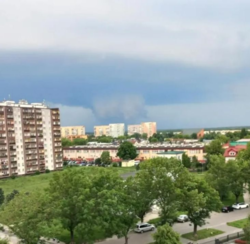 7ea97dd8-42d1-4ad3-9c7b-cb203be653aa