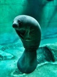 1286af5a-a748-4c2b-832a-cde74fcc6afe