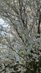 aa0167fc-8267-49b2-9543-976df1a95024