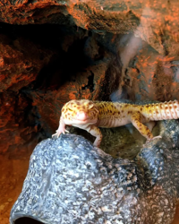 87f961ce-fa6f-46a1-8bf2-03c619c9aac4