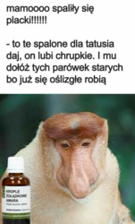 0bb2ecff-87ee-41fd-93a5-36d44b4a2da2