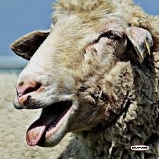 b9606c7d-513e-4833-b46f-8f942e478252