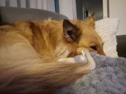 9ef948a6-e0ee-47b1-a4fe-28dbdbdaa87a