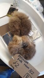 b8e2f157-e900-47b5-972f-2612c54e40bd