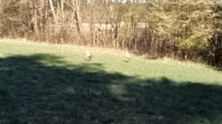 0daca7c2-d0cb-4c6f-9331-f3011900ddbd