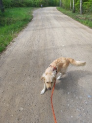 5131335a-13fe-48e9-a7ad-6b65c179b791