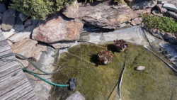 86470720-0768-4721-aa7f-2eb399bab640