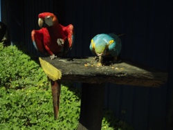 26e37b32-4efb-4031-90c2-b363e4a0e609