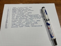 33a73903-9191-469f-88e6-2dda3a271b89