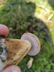 93c016b1-5fb8-45fb-9f42-a0c477e22717