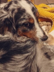 87b177ef-b4bf-44b7-9f7a-2c7c05b27c26